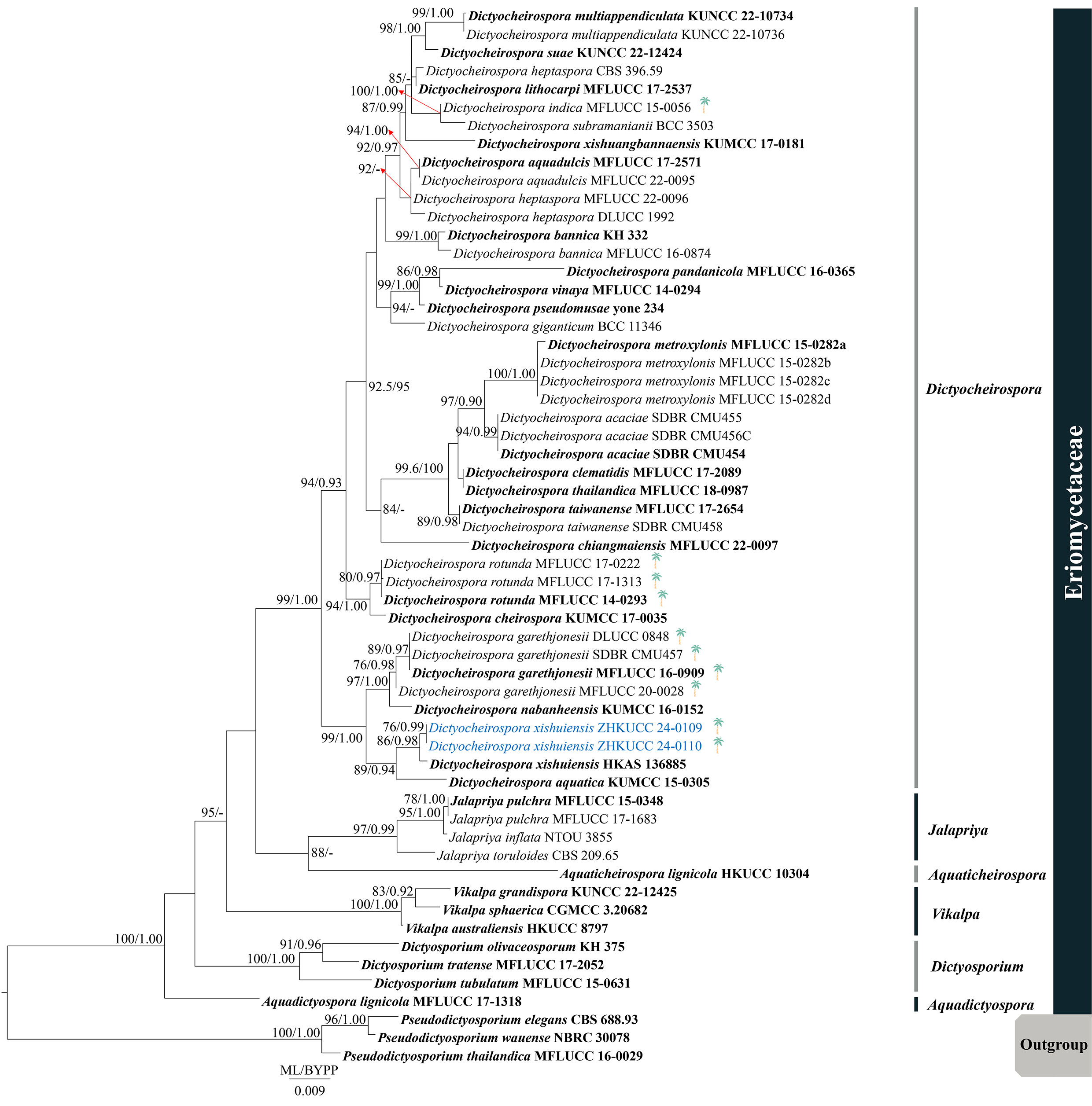 Figure 24